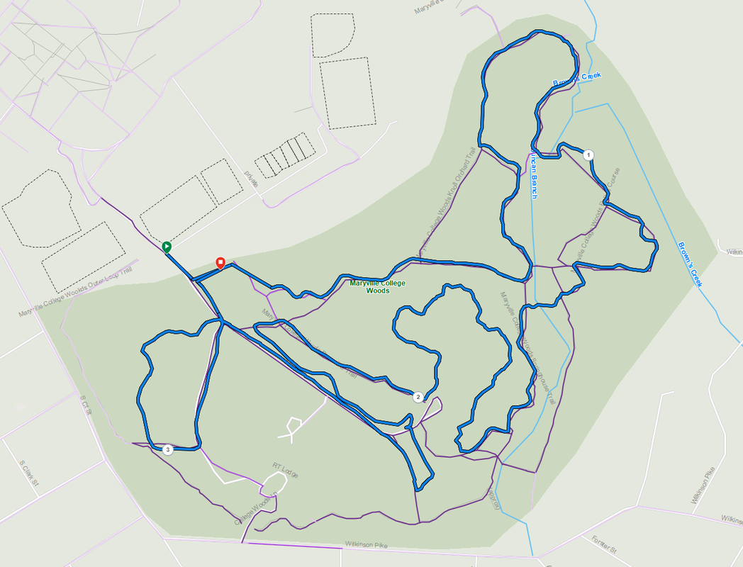 KTC Wanderers Trail Race